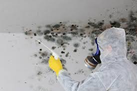 Forensic Mold Investigation in Henry, IL